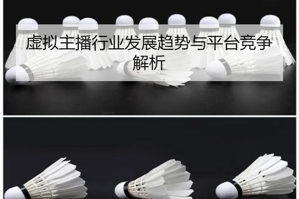 虚拟主播行业发展趋势与平台竞争解析